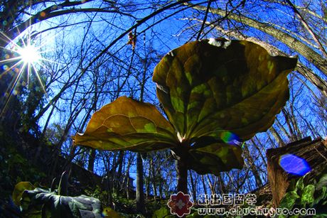 美国布兰迪斯大学留学生访谈